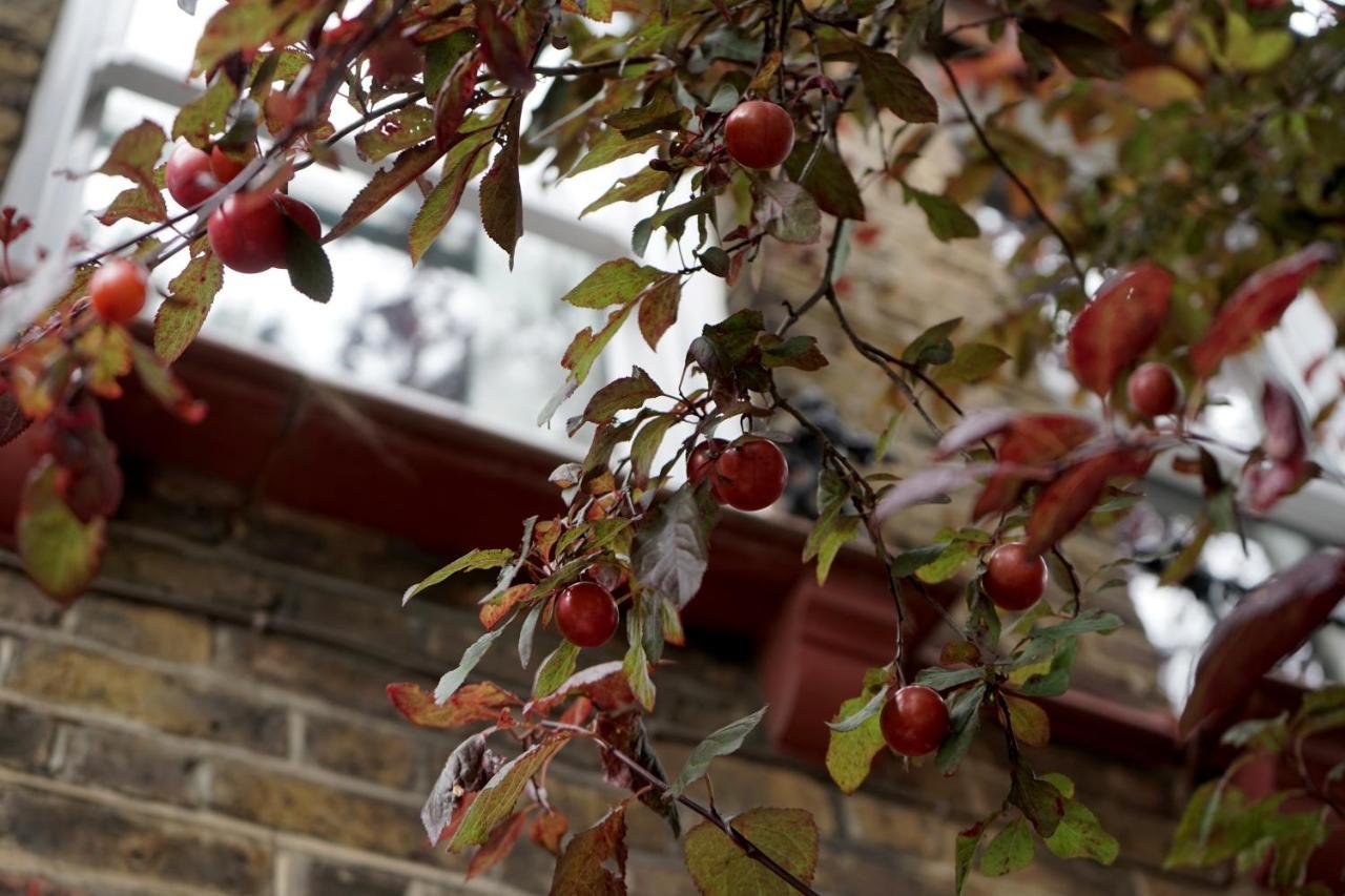 Luxury London Garden Home Sleep 7, 2 Mins To Metro Kültér fotó